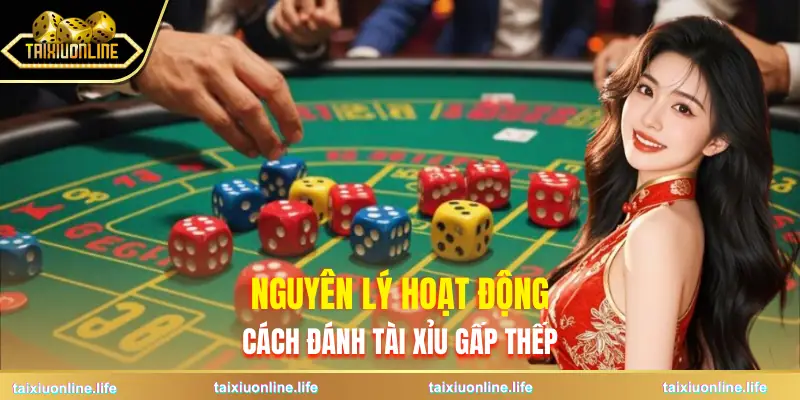 cach-danh-tai-xiu-gap-thep-nguyen-ly-hoat-dong