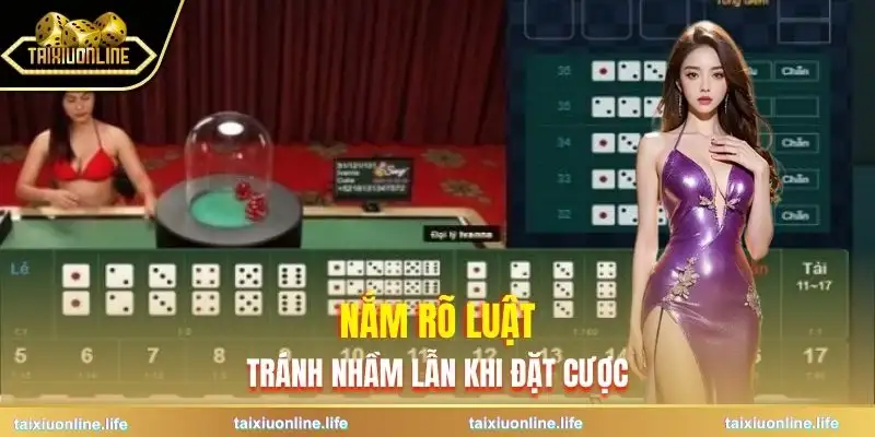 tai-xiu-chan-le-hieu-ro-luat