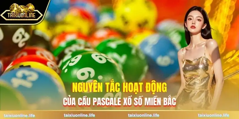 cau-pascale-xo-so-mien-bac-nguyen-tac
