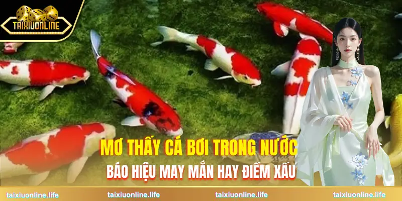mo-thay-ca-boi-trong-nuoc-dau-hieu