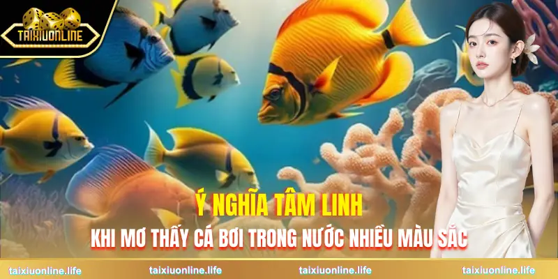 mo-thay-ca-boi-trong-nuoc-y-nghia