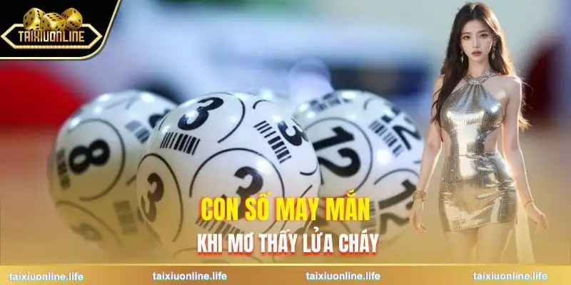 mo-thay-lua-chay-lon-con-so-may-man