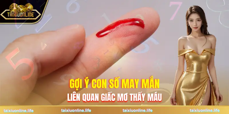 mo-thay-mau-goi-y-con-so