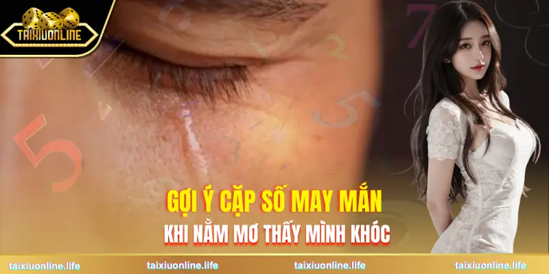 mo-thay-minh-khoc-goi-y-con-so