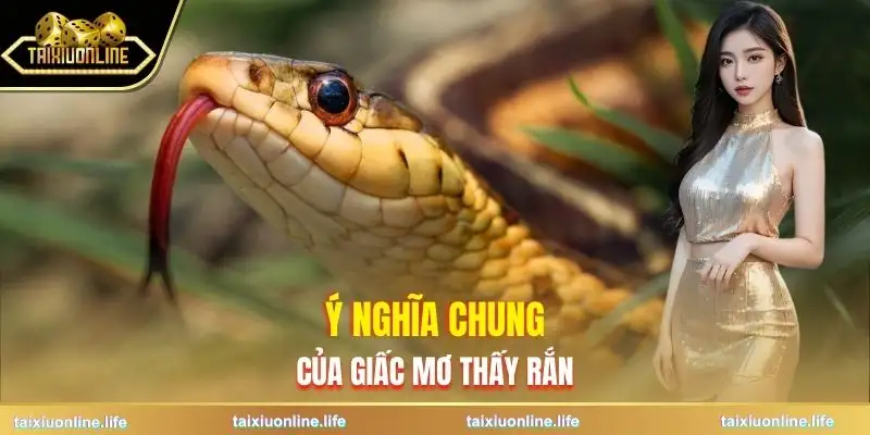 mo-thay-ran-y-nghia-chung